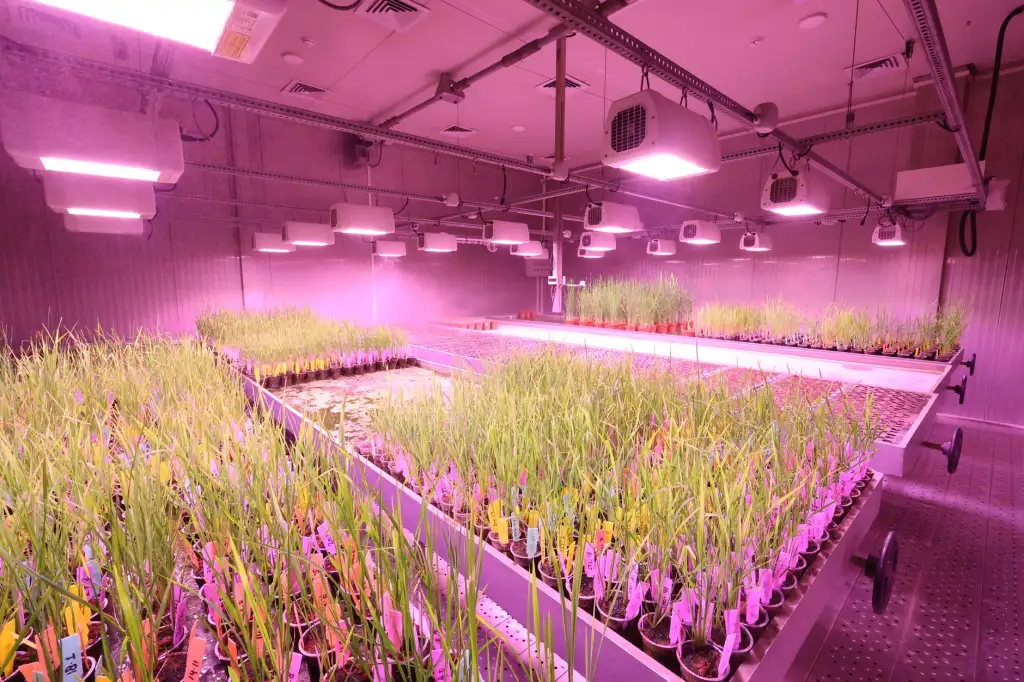 常德同城跑腿配送时效优化策略与骑手调度方案解析