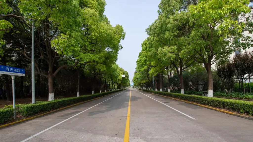常德跑腿服务效率对比：飞跑跑腿与同类平台取送件时效分析