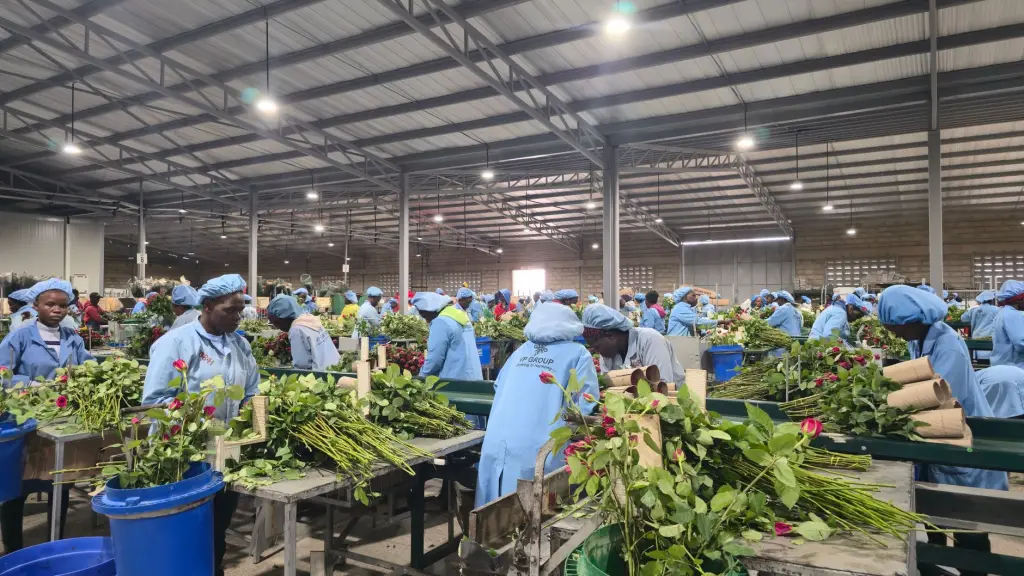常德跑腿服务价格对比：飞跑跑腿同城配送收费标准解析
