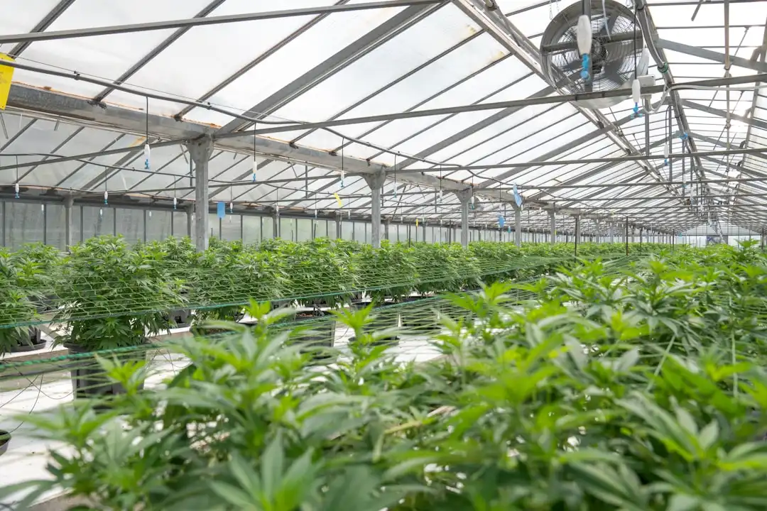 常德同城跑腿配送时效优化与智能调度技术解析