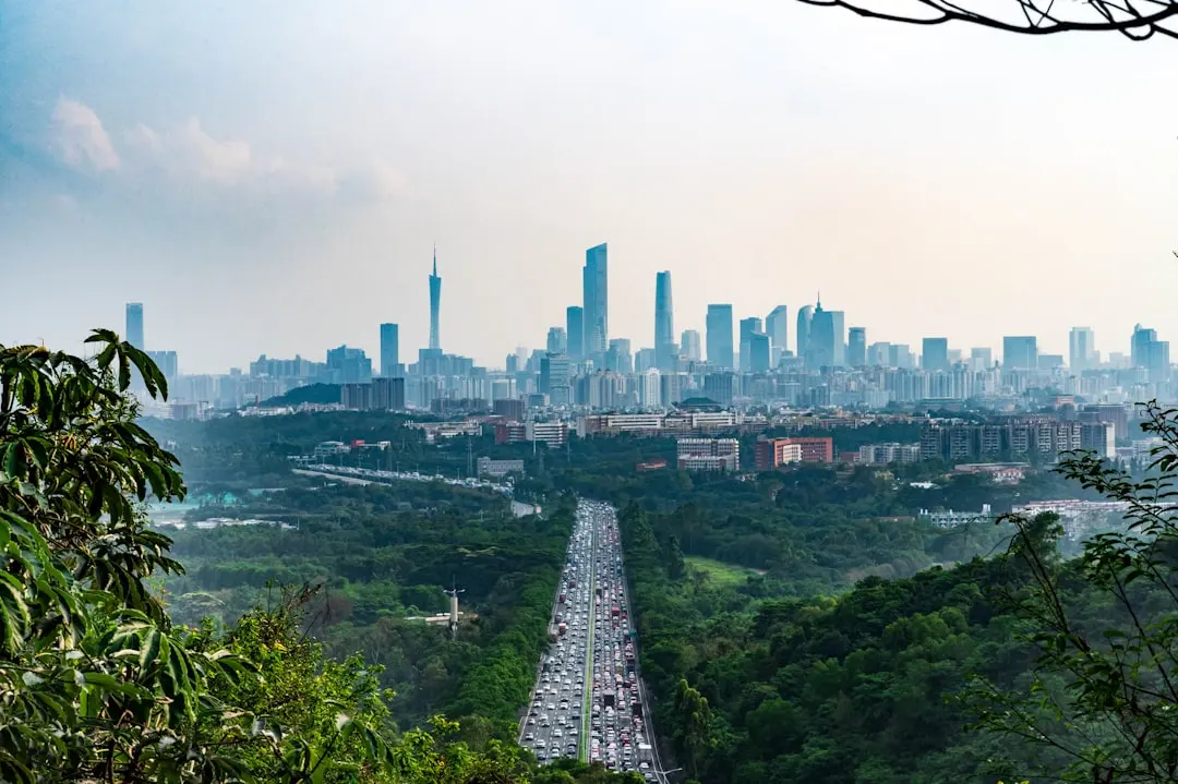 常德飞跑跑腿代取代办服务流程与时效标准详解